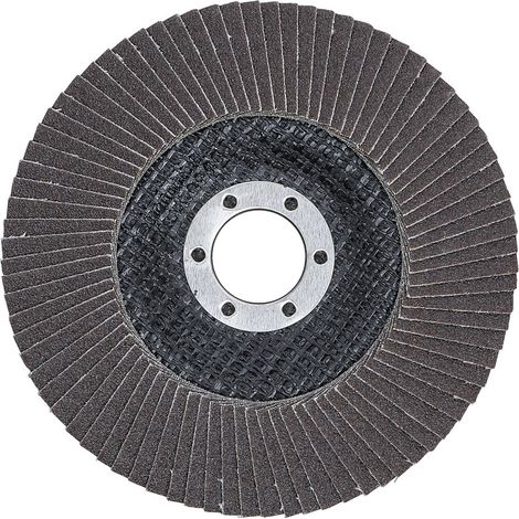 Disque Ø 125 mm 22 mm a lamelle bgs grain de 120 (1/3)