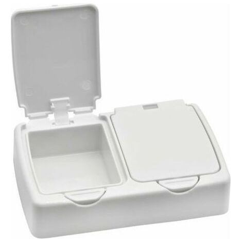 Boîte de Rangement de Bureau, Petite boîte de Rangement en Plastique Blanc avec couvercles pour Ranger de Petits Objets, Perles, Bouchons d'oreille, Bijoux au Bureau à Domicile (1/5)