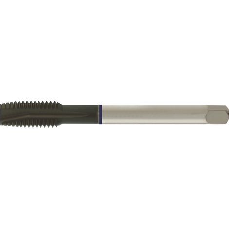 Maschinengewindebohrer DL VA HSS-E dampfbehandelt DIN 376 Blauring FORUM M12 (1/4)
