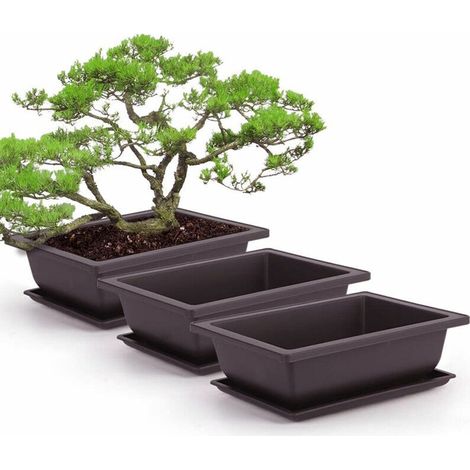 3 Pièces Pot de Plantes Rectangle, Pots d'Entraînement Bonsaï en Plastique, Pots de Fleurs Succulentes avec Plateaux Conteneur Plantes Durables Pots de Culture pour Jardin, Intérieur, Décorati (1/5)