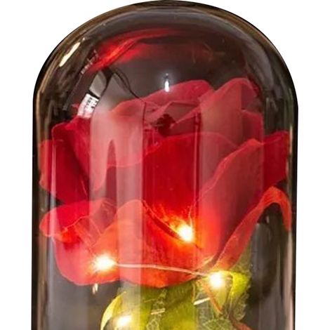 Magnifique lampe bocal en verre à rose LED vive et fleur séchée pour cadeaux anniversaire et Saint-Valentin (1/5)