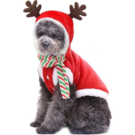 Manteau de Noël pour chien, automne-hiver, sweat à capuche pour chien et chat, costume de Noël pour petit chien