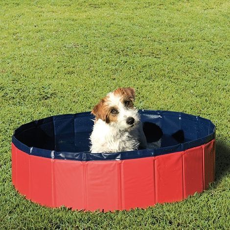 Piscina para perros Ibáñez PISCINA - MEDIDA L (1/5)
