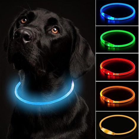 Wiederaufladbares LED-Hundehalsband per USB – Verstellbar, bruchsicher, wasserdicht – 3 Modi – Größen S, M und L (1/5)