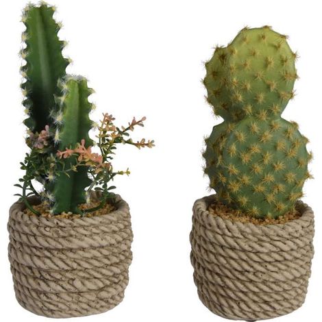 Piantina di cactus artificiale