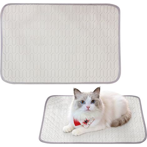 Tapis rafraîchissant pour animaux - 62 x 50 cm - Idéal pour le printemps et l'été - Tapis en latex effet soie glacée - Convient aux chiens et aux chats - Utilisable en cage, niche, panier et canapé -  (1/5)