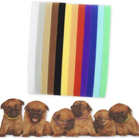 Set di 12 collane di identificazione lettiere