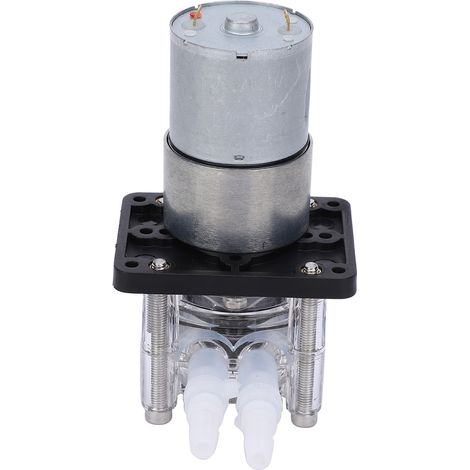 Pompe péristaltique à vide auto-amorçante à haut débit et résistante à la corrosion, avec moteur CC 12 V