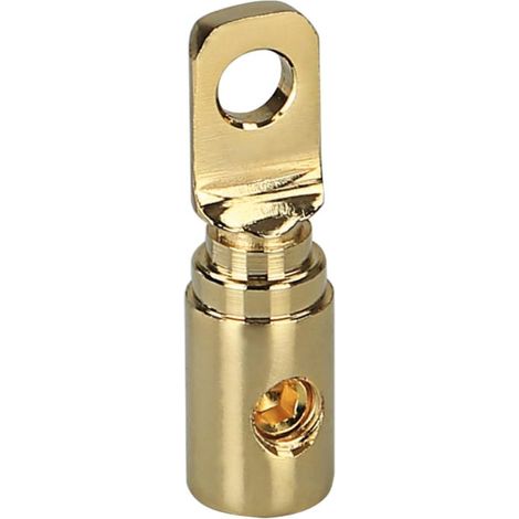 Cosse a anneau plaquee or 20 mm2 vers 8.5 mm