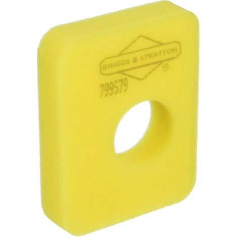 Briggs & Stratton 799579 Filtro de aire (1/3)