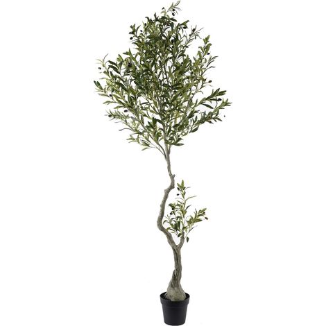 Signes Grimalt Planta Figuras  Arbol Olivo L Varios Verde 1x1x1cm 36230