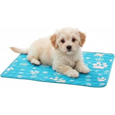 Grand tapis rafraîchissant pour animaux - Auto-refroidissant pour chiens et chats - Portable et lavable - Pour intérieur, extérieur, niche, caisse et voiture - Taille L - Bleu (1/5)