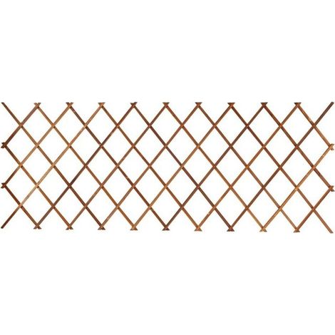 Treillis télescopique résistant à la corrosion pour murs de jardin et de cour – 44 x 31 cm, 1 pièce – RAPANDA (1/3)