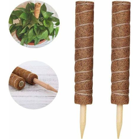 2 Pièces Tuteur Plante,Tuteur Coco, Poteau De Coco, Bâton De Coco pour La Maison Jardin Plante Grimpantes Extension De Support De Plante (1/4)