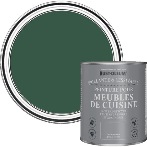 Peinture Verte pour Meubles de Cuisine, Finition Brillante - Pinède 750ml (1/5)