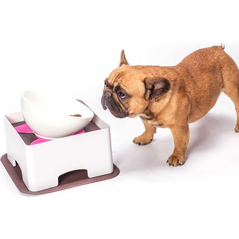 Table d'alimentation réglable en plastique pour petits chiens et chats avec tapis antidérapant en silicone (petite taille) (1/5)