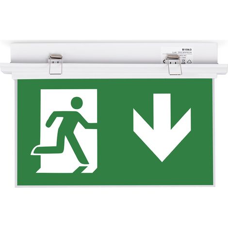 Barcelona Led – Éclairage de sécurité autonome avec pictogramme – LED SMD2835 blanc froid 6500K – Autonomie 3h – Installation encastrée IP20