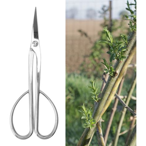220 mm lange Knospenschere aus Edelstahl, Bonsai-Schnitt- und Formwerkzeug, Silber (1/5)
