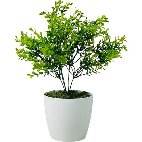 Vaso di fiori - Bosso verde 30 cm (1/5)