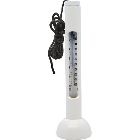Thermomètre flottant pour piscine, en forme de poisson, pour mesurer la température de l'eau des piscines, spas, jacuzzis et aquariums-AquaForge (1/5)