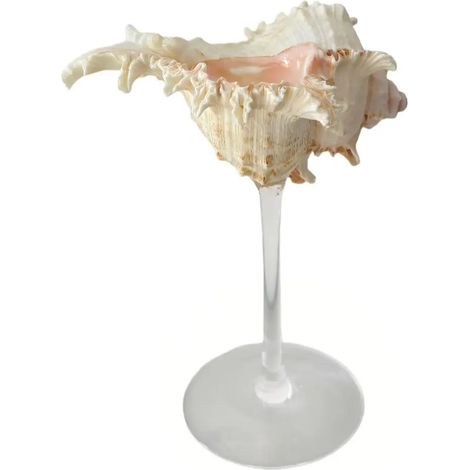Verre à vin à pied en coquillage naturel, verre artistique en coquillage irrégulier, décoration intérieure.