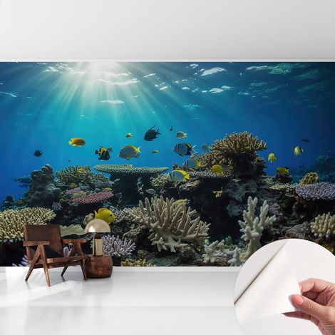 Papier peint autocollant adhésif avec imprimé installation simple qualité excellente sans désordre Monde sous-marin 416x254 cm (1/5)