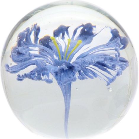Signes Grimalt Pisapapel Regalo Pisapapel Flor Pisapapeles Azul 8x8x8cm 35899