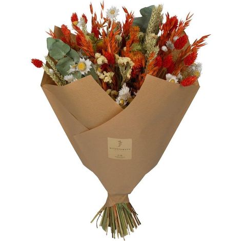 Bouquets de Fleurs Séchées Classiques Orange, Décoration Intérieure, Lot de 4, Hauteur 60 cm - PANGIVO