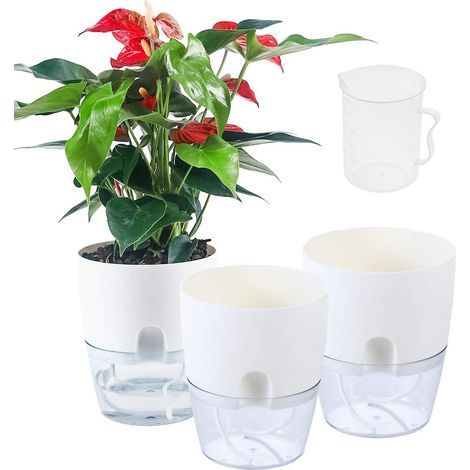 Set aus 3 selbstbewässernden 15 cm (6 Zoll) großen Blumentöpfen für Zimmerpflanzen aus Kunststoff mit integrierter Gießflasche. (1/5)
