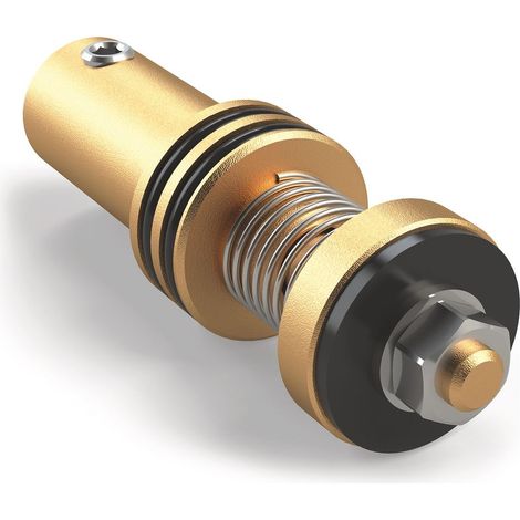 Kemper Ventilkegel mit Rückflussverhinderer und Dichtung für Frosti 573/575, DN 15 und DN 20, B81095730301500