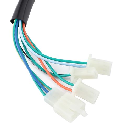 Kabelbaum für Elektrostarter, Little Bull, europäischer Standard (1/5)