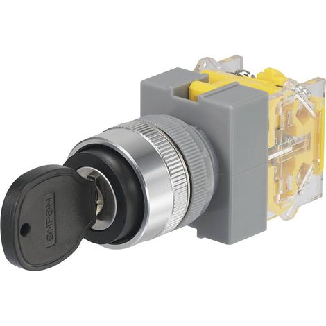 TRU COMPONENTS 704536 Y090-A-20Y/33 Interruttore a chiave 250 V/AC 5 A 2 x Off / (On) 2 x 45 ° IP40 1 pz.