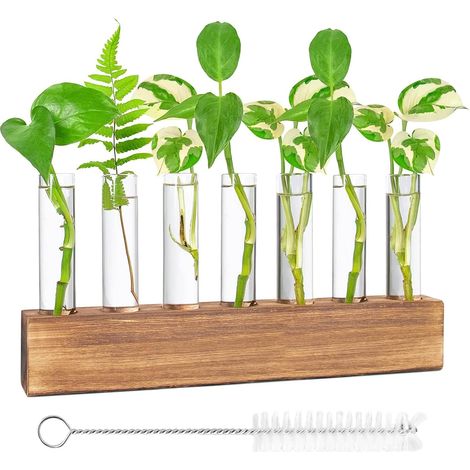 Hydroponische Anzuchtstation – Glasvase mit Holzständer, Bürste und 8 Reagenzgläsern für Pflanzen – Dekoration (1/5)