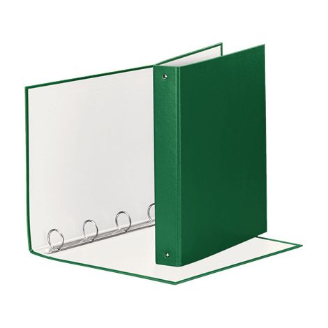 Esselte 395792600 raccoglitore ad anelli Verde