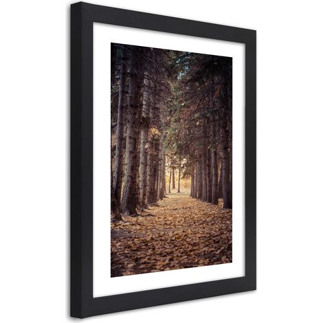 Quadro con cornice, Foresta in autunno - 40x60 (1/5)
