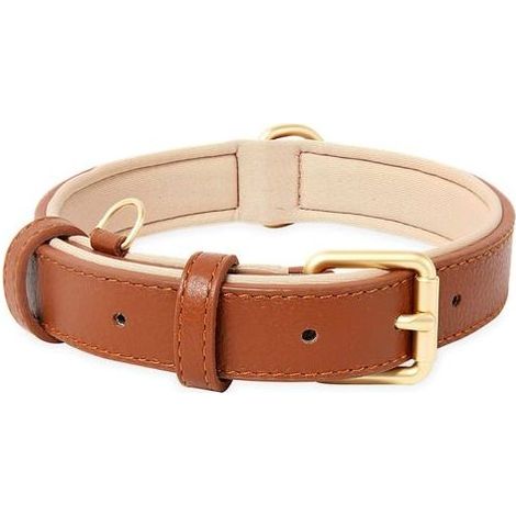Collier de chien en cuir ajustable avec coussin moelleux rembourré – Pour chiens petits, moyens ou grands – Taille M, couleur marron (1/4)