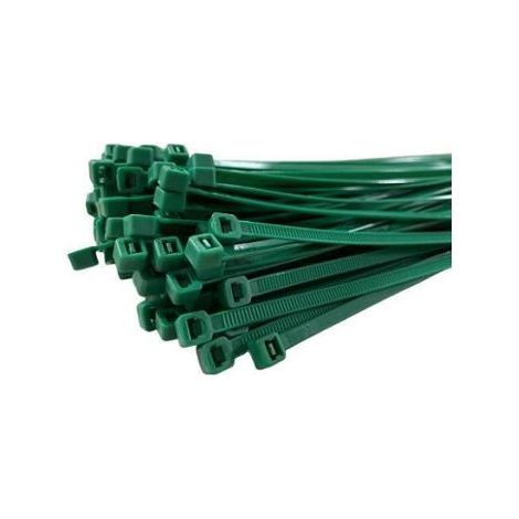 FASCETTE NYLON VERDI 2,5X100MM 100PZ