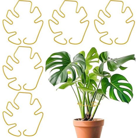 Ensemble de 5 supports pour plantes d'intérieur - Supports pour plantes - Anneaux de support pour tiges - Stabilisateurs de tiges - 16 x 18 cm - Fer - Doré (1/5)