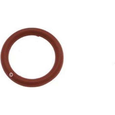 Joint de bouchon (6228102000) Centrale vapeur DELONGHI