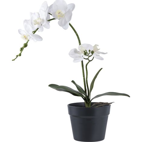 Orchid - Pianta artificiale di orchidea verde e bianca H49 cm