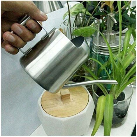 Gießkanne aus Edelstahl mit langer Öffnung, für Pflanzen, Blumen, drinnen, auf der Terrasse, im Garten, im Büro, im Freien (300 ml) (1/4)