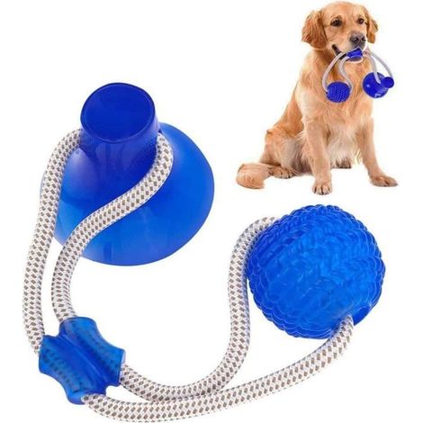 Jouet à Mâcher - Non Toxique - Bleu - Ventouse - Corde Interactive - Pour Chiens et Chiots (1/4)