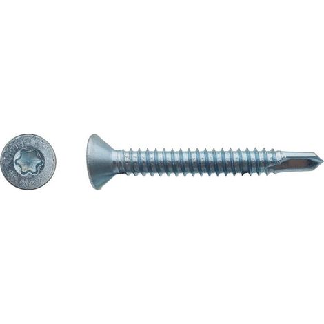 250 Vis Autoperceuses Tête Fraisée Torx 5.5 x 45 mm - Zingué blanc - D-Work