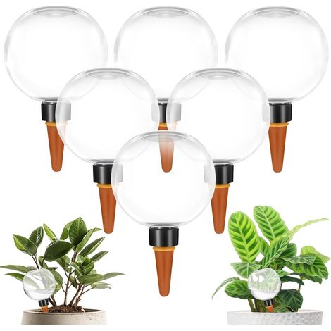 Boule Arrosage - Lot de 6 - Plastique Transparent - Cône Céramique - 500 ML - Plantes Intérieur (1/5)