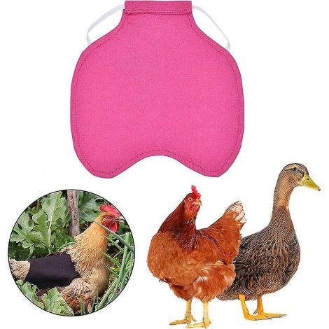 Lot de 5 tabliers noirs en forme de selle pour poules, avec sangles élastiques - Protection des plumes et maintien des ailes pour poules de petite et moyenne taille (1/5)
