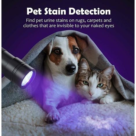 Torche UV avec 12 ampoules LED, torche LED UV 395 nm, détecteur d'urine pour chien/chat, résine, fluorescent, scorpion et plus encore. Lampe de poche UV avec 12 ampoules LED, lampe de poche UV 3 LED (1/4)