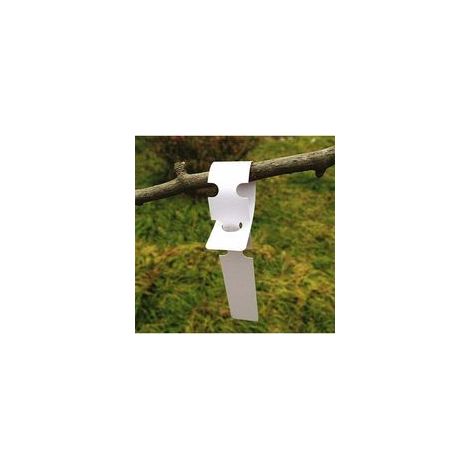 200 etichette da giardino da 21 x 2 cm, cartellini da appendere in plastica, etichette per l'orto, bianche - Crezuo