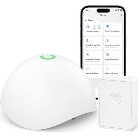 Détecteur de Fuite d'eau Intelligent (avec HUB), Capteur de Fuite d'eau Wi-FI IP67 et 60 DB, Détecteur d'Indondation Compatible avec HomeKit et SmartThings (1/5)