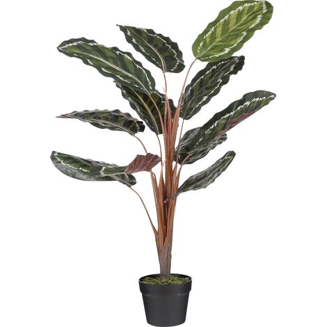 Mica Kunstpflanze Calathea roseopicta im Topf grün 90 x 60 cm Kunstpflanzen