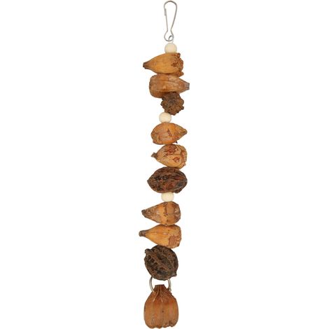 Jouets à mâcher pour oiseaux, grincement de la bouche, résistance aux morsures, bûches, noix naturelles, perroquet suspendu pour perruches, aras, perruches (1/5)